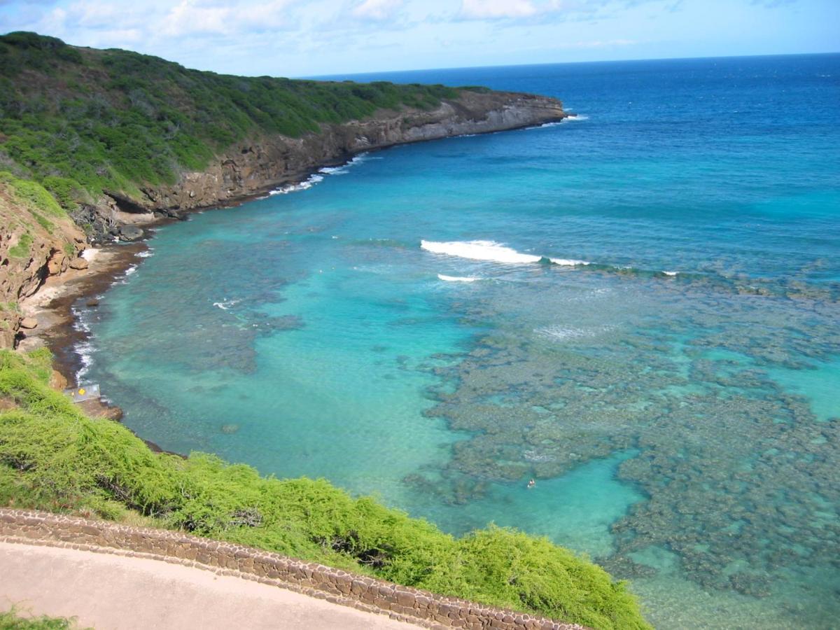 Free Parking, Pool, Sauna, Spa, Wifi, Bbq, Ac - Waikiki Banyan Хонолулу Екстериор снимка