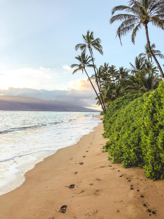 Free Parking, Pool, Sauna, Spa, Wifi, Bbq, Ac - Waikiki Banyan Хонолулу Екстериор снимка